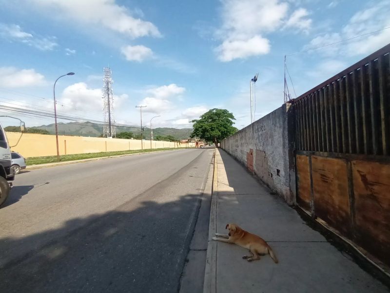 Propiedad