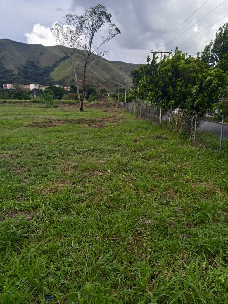 Propiedad