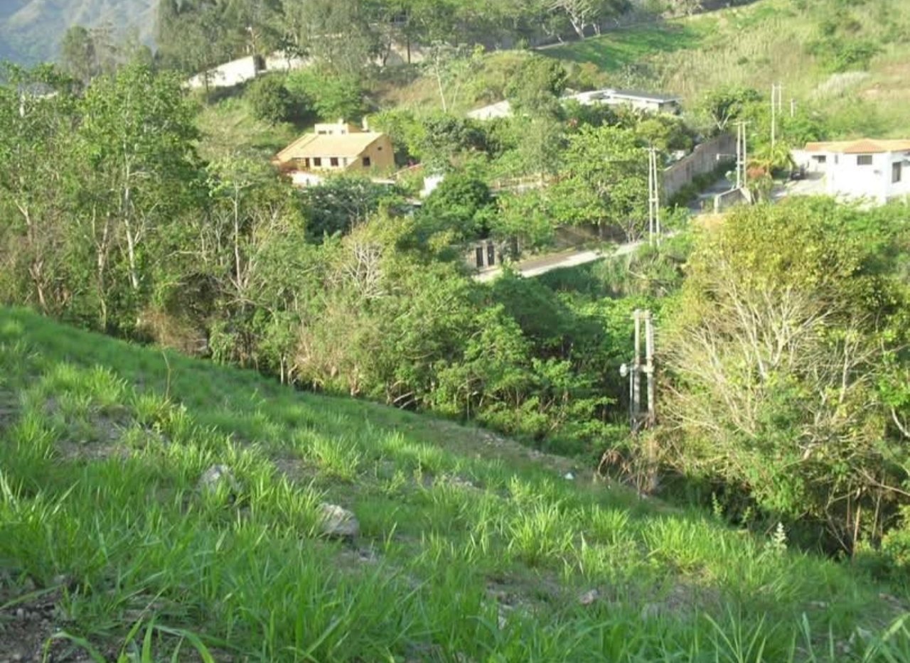 Propiedad