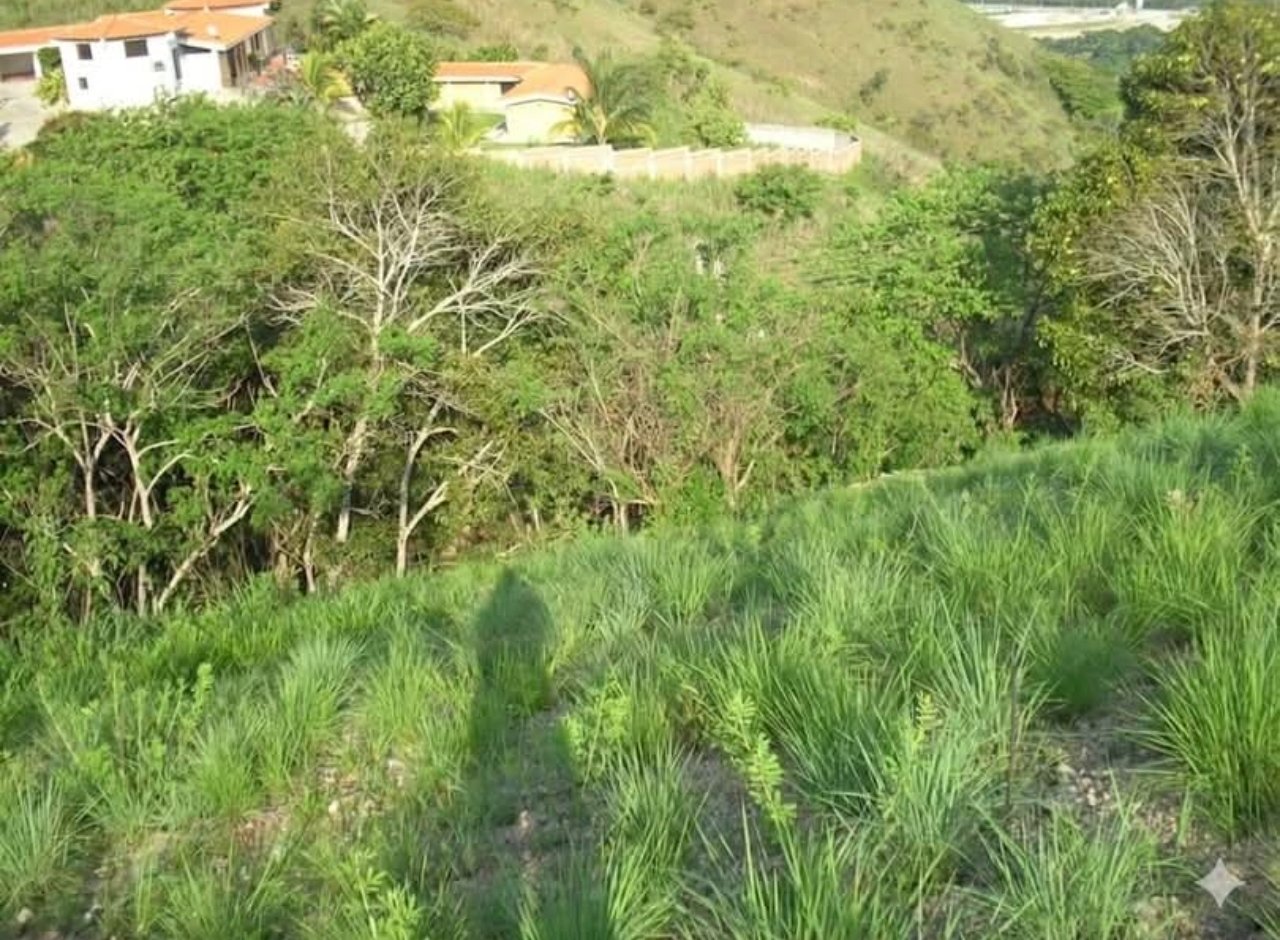 Propiedad